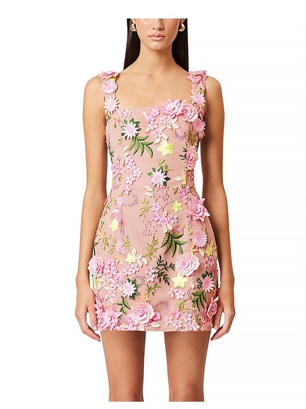 Elliatt Aella Pink Floral Appliqué Mini Dress